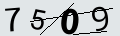 verifycode